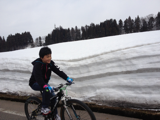 image-20120401121433.png
