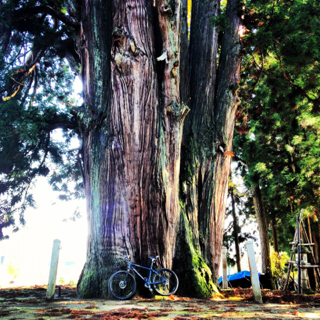 image-20130712221823.png