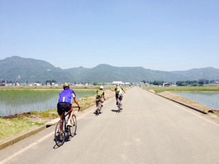 image-20140602074351.png